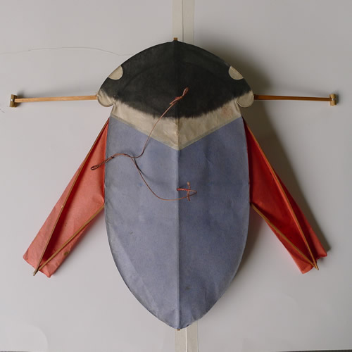 cerf_volant japon