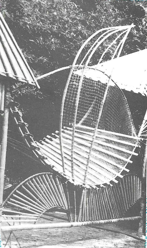 hebrard photo 10