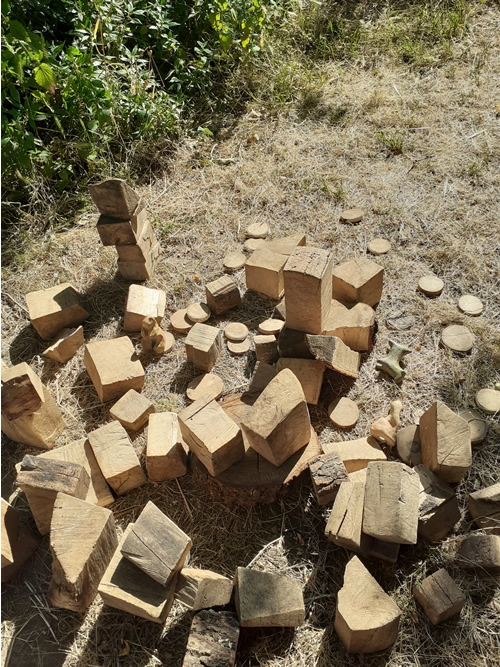 Les enfants au jardin