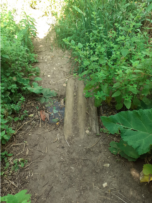 Les enfants au jardin