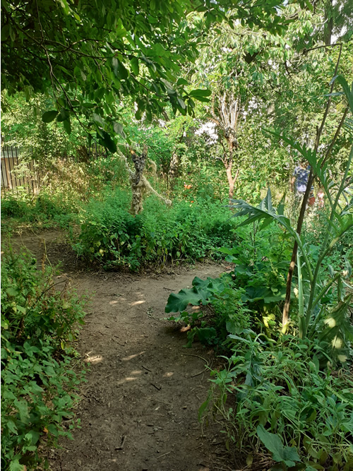 Les enfants au jardin