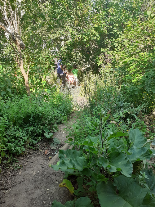Les enfants au jardin