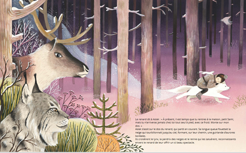 5_aslak_aurore_boreale