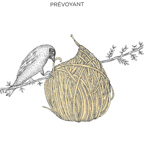 C’est dans ma nature, Angela Salerno