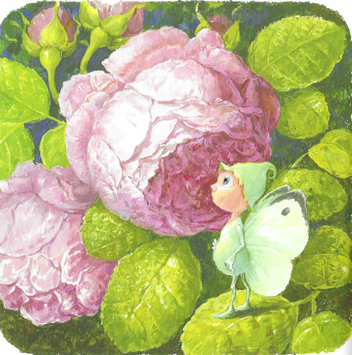 Ninon, petit papillon, Antoon Krings